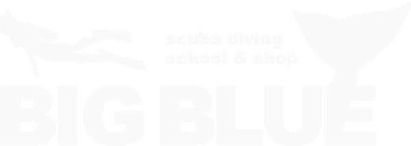 BIGBLUE